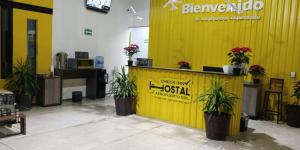un mur jaune dans un hall avec des plantes en pot dans l'établissement CHECK INN HOSTAL AEROPUERTO GDL, à Guadalajara