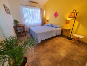 - une chambre avec un lit et une plante en pot dans l'établissement Adventure Inn La Paz, à La Paz
