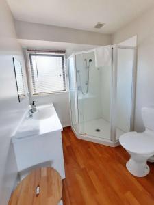 a bathroom with a shower and a toilet and a sink at Twin Stars in Lake Tekapo