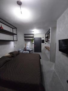 a bedroom with a large bed and a tv at FLAT PALLADIUM - DE FRENTE - novo in São Vicente