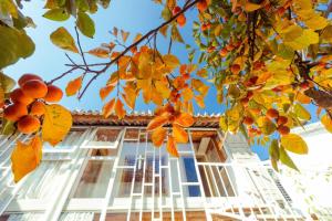 Galería fotográfica de Honglin Houseg虹林的小院 防疫整栋 古城里温馨私家小院 享受大理慢时光 树下喝茶聊天 烧烤娱乐自助厨房 休闲好去处 en Dali