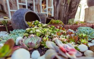 Un jardín fuera de Honglin Houseg虹林的小院 防疫整栋 古城里温馨私家小院 享受大理慢时光 树下喝茶聊天 烧烤娱乐自助厨房 休闲好去处