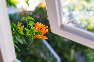 Un jardín fuera de Honglin Houseg虹林的小院 防疫整栋 古城里温馨私家小院 享受大理慢时光 树下喝茶聊天 烧烤娱乐自助厨房 休闲好去处