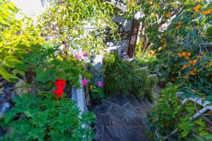 Un jardín fuera de Honglin Houseg虹林的小院 防疫整栋 古城里温馨私家小院 享受大理慢时光 树下喝茶聊天 烧烤娱乐自助厨房 休闲好去处