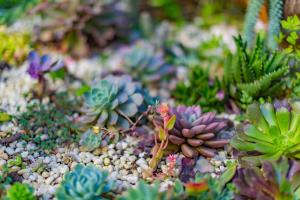 Un jardín fuera de Honglin Houseg虹林的小院 防疫整栋 古城里温馨私家小院 享受大理慢时光 树下喝茶聊天 烧烤娱乐自助厨房 休闲好去处