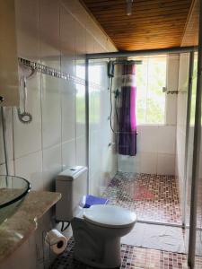 a bathroom with a shower with a toilet and a sink at All Green Residence in Monte Verde