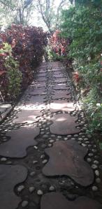 um caminho de pedra num jardim com plantas em Strawberry Country em Mahabaleshwar