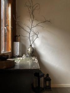 a table with a vase with a tree branch in it at Sugi Chalet in Myoko