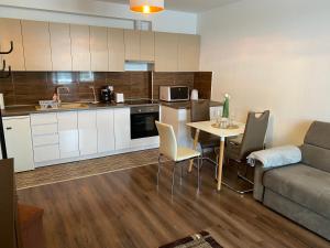 Kuchyňa alebo kuchynka v ubytovaní LÉO Apartment