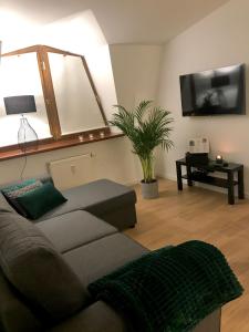 salon z kanapą i telewizorem z płaskim ekranem w obiekcie Apartament Bianco Verde w mieście Częstochowa +3 zdjęcia