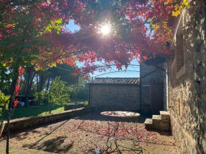 Zahrada ubytování Agriturismo Montecchio