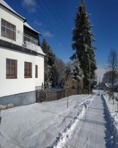een met sneeuw bedekte straat voor een huis bij Chalupa NA ZEMI 211, Andělská Hora in Andělská Hora
