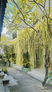 a tree with vines hanging from it in front of a building at PURNAMA HOUSE KUTA in Kuta