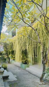 Vườn quanh PURNAMA HOUSE KUTA