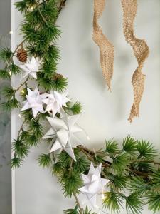 Φωτογραφία από το άλμπουμ του Baumkrone σε Altenau +16 φωτογραφίες