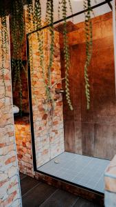 a reflection of a shower in a glass door with plants at Love Cottage mit Whirlpool in Hagen