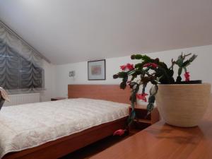 ein Schlafzimmer mit einem Bett und einer Topfpflanze auf einem Tisch in der Unterkunft JM DELUXE Apartments in Kranjska Gora