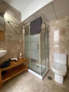een badkamer met een douche, een toilet en een wastafel bij 2 Bedrooms and sofa bed flat by Wayra Tarifa in Tarifa