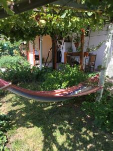 una hamaca en un jardín bajo un árbol en слънце, en Shabla