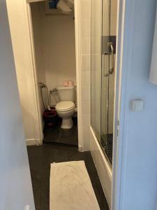 a bathroom with a toilet and a glass shower at Bel Appartement lumineux à 2 min du RER B in La Courneuve