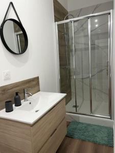 a bathroom with a sink and a shower with a mirror at Appartement du Château in Lunéville