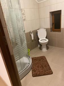 a small bathroom with a toilet and a shower at Vila primitoare in apropiere de aeroport in Ghiroda