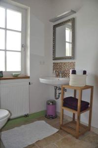 ein Badezimmer mit einem Waschbecken, einem WC und einem Spiegel in der Unterkunft Grundmühle Rhön in Nordheim vor der Rhön