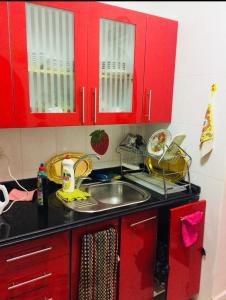 a red kitchen with a sink and red cabinets at Small apartment with Garden in Cairo