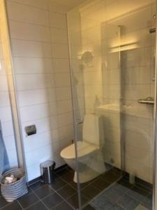 a bathroom with a toilet and a glass shower at Kongens Apartment St Joseph in Kristiansand