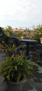Foto dalla galleria di Mandara Rest a Hikkaduwa