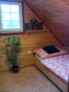 Zimmer mit einem Bett in einem Blockhaus in der Unterkunft Apík u Milušky in Mikulovice