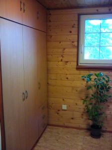 Zimmer mit Holzwänden, einem Fenster und einer Pflanze in der Unterkunft Apík u Milušky in Mikulovice