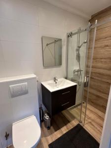 La salle de bains est pourvue de toilettes, d'un lavabo et d'une douche. dans l'établissement D10 Apartments, à Breda