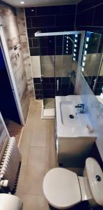 レ・ザングルにあるHôtel Bel Angleのバスルーム(洗面台、トイレ、シャワー付)