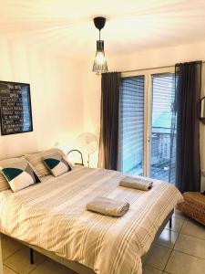 1 dormitorio con 1 cama grande y 2 almohadas en Private riverside villa with breathtaking views en Axat