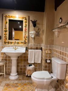 a bathroom with a toilet and a sink and a mirror at Palacio de Cutre in La Goleta