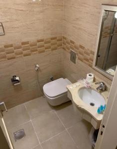 a bathroom with a toilet and a sink at Mas-wadi in Aqaba