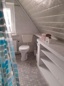 ein weißes Bad mit einem WC und einem Waschbecken in der Unterkunft TannenQuartier - Ihr Ferienhäuschen in Groß Grönau