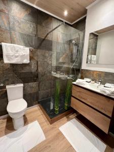 bagno con servizi igienici e lavandino di Jadore - Appartements meublés Mulhouse Ville a Mulhouse