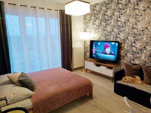 ノビ・ドブル・マゾビエツキにある2-Room Apartmentのベッドルーム(ベッド1台、薄型テレビ付)