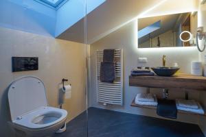 a bathroom with a toilet and a sink and a mirror at Haus Michael Tritscher in Schladming