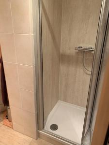um chuveiro com uma porta de vidro na casa de banho em Kathrin`s Appartment em Oelsnitz