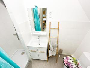 CHAMBRE APPARTEMENT tesisinde bir banyo