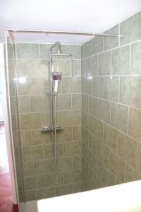 a shower in a bathroom with green tiles at Studio tout confort dans maison de caractère in La Bastide