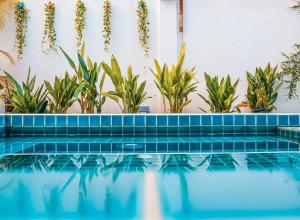 a swimming pool with plants on the wall at The Bygone in Siem Reap