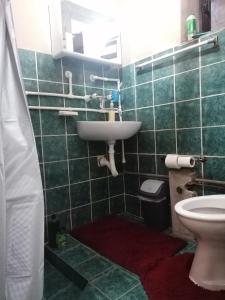 y baño con lavabo y aseo. en Markov konak, en Babušnica