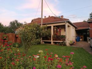 Giardino di Markov konak