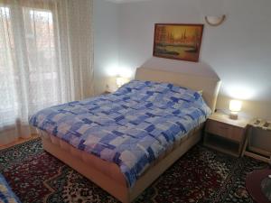 1 dormitorio con 1 cama con edredón azul en Markov konak, en Babušnica