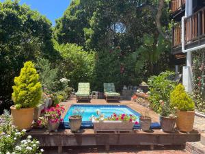 a swimming pool with potted plants on a patio at Apartment Downstairs Sedgefield in Sedgefield