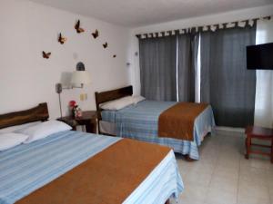 a hotel room with two beds and birds on the wall at Casa Terracota in Bacalar